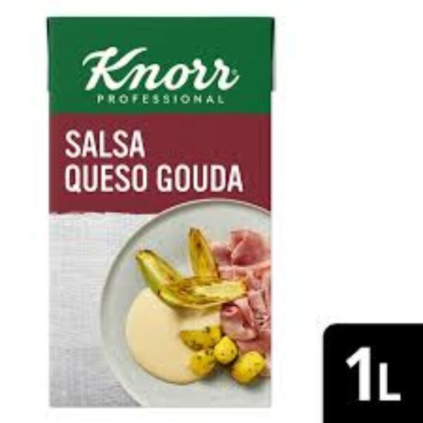 KNORR SALSA LIQUIDA LISTA PARA USAR QUESO GOUDA BRICK 1L