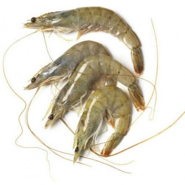 LANGOSTINO VANNAMEI